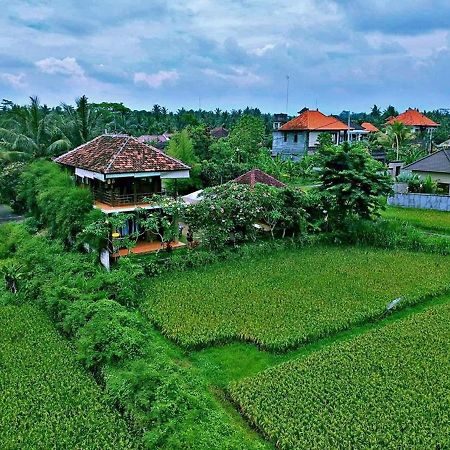 White Villa Ubud Luaran gambar