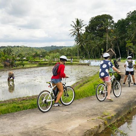 White Villa Ubud Luaran gambar