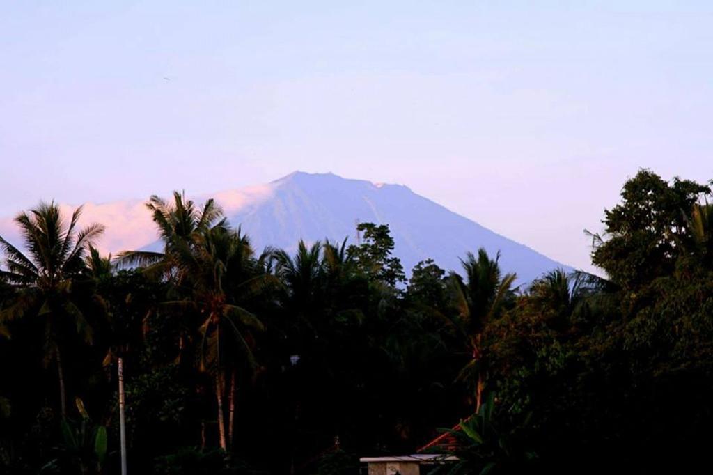 White Villa Ubud Luaran gambar