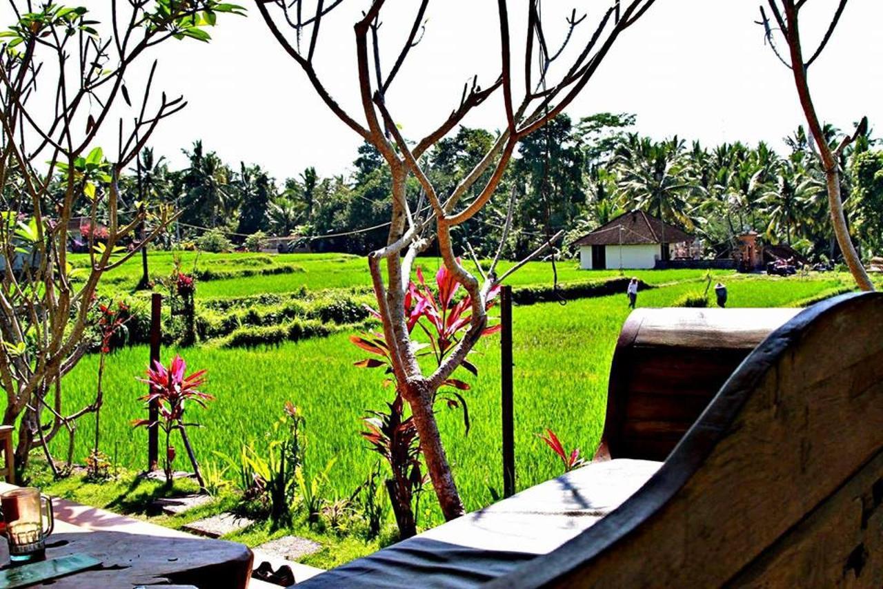 White Villa Ubud Luaran gambar