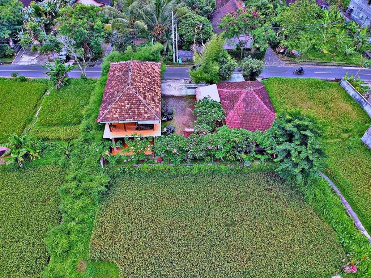 White Villa Ubud Luaran gambar