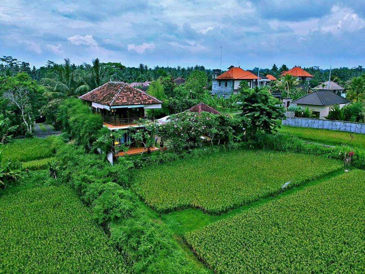 White Villa Ubud Luaran gambar