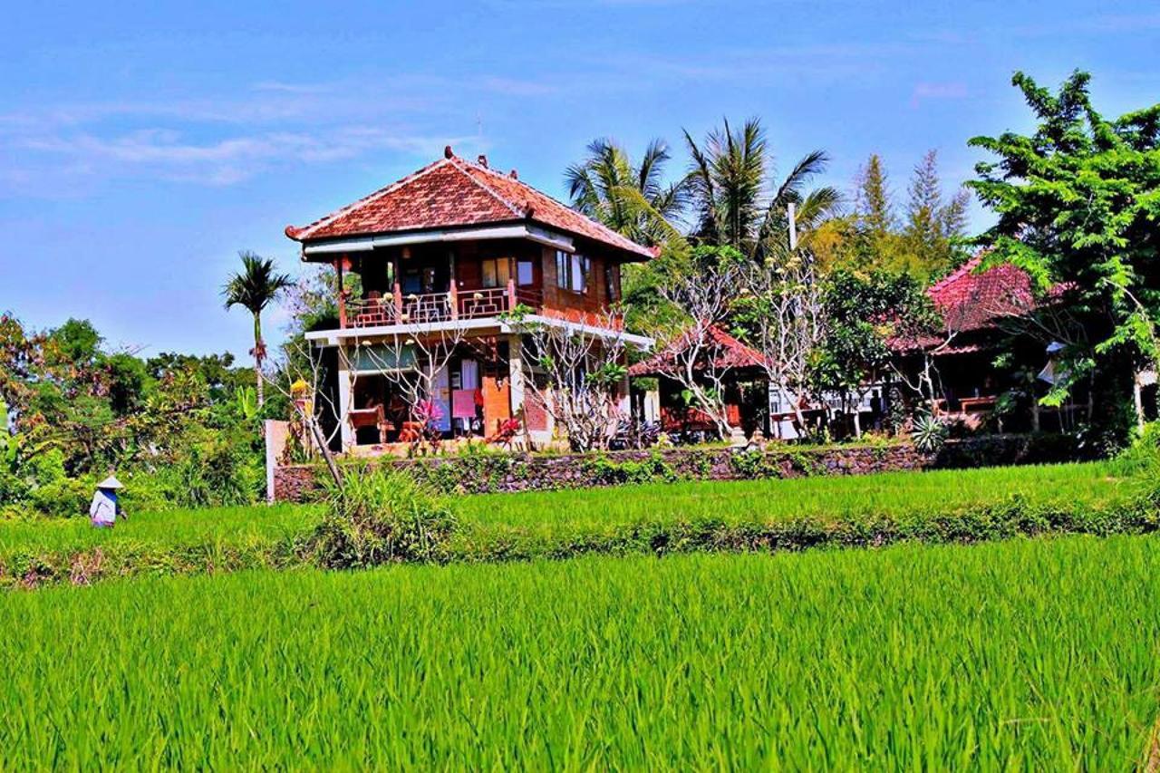 White Villa Ubud Luaran gambar