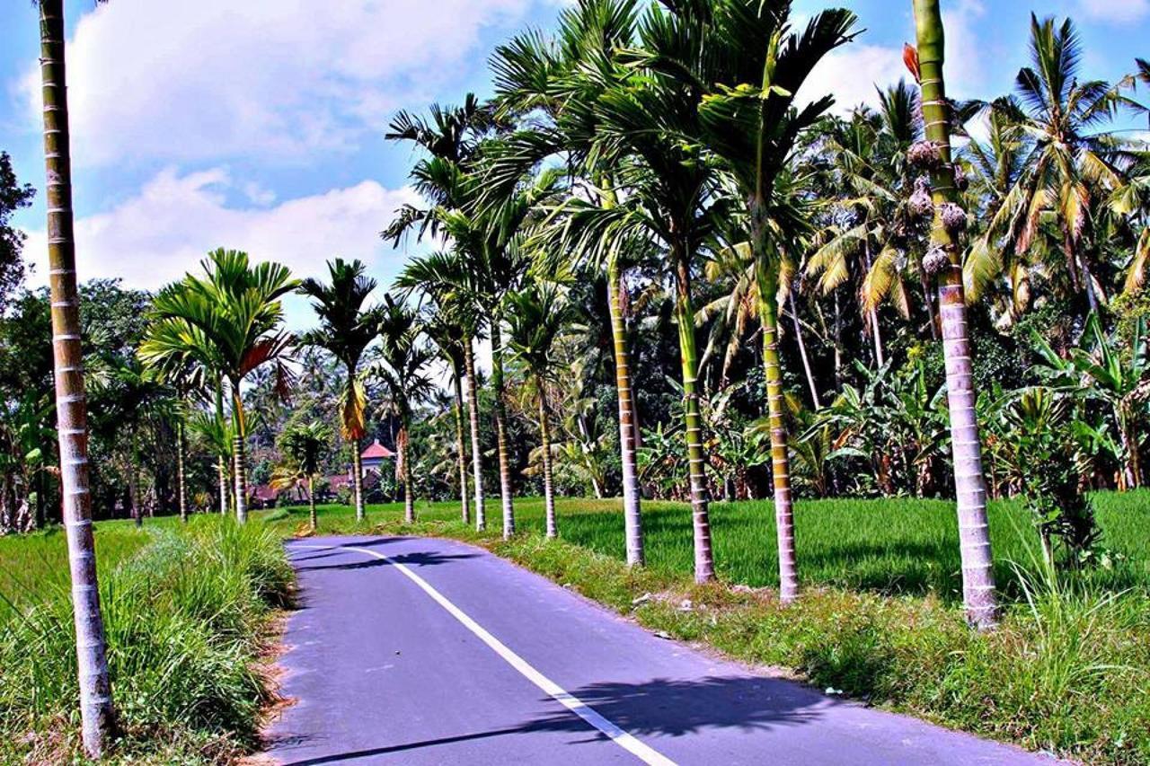 White Villa Ubud Luaran gambar