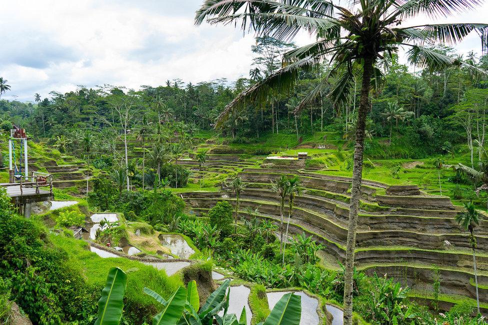 White Villa Ubud Luaran gambar