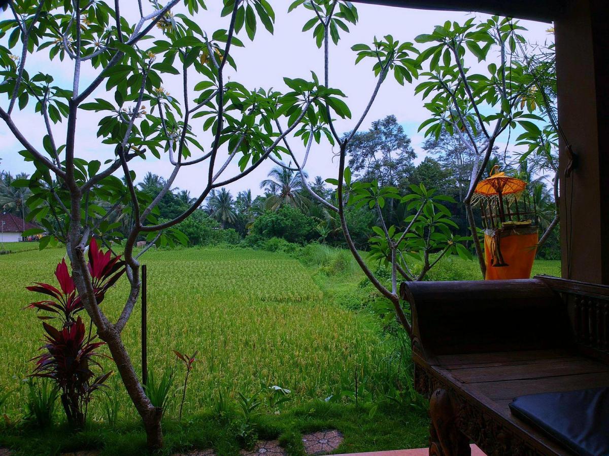 White Villa Ubud Luaran gambar